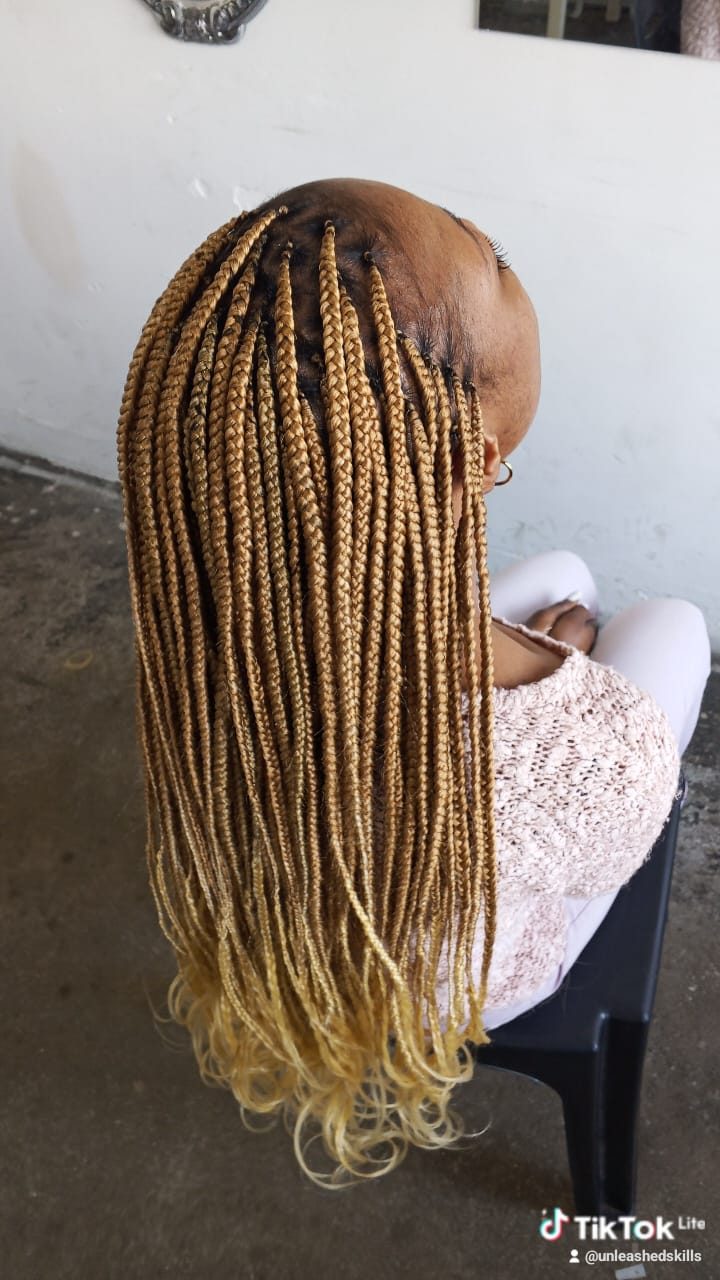 Fresh cornrow-based braids, back view