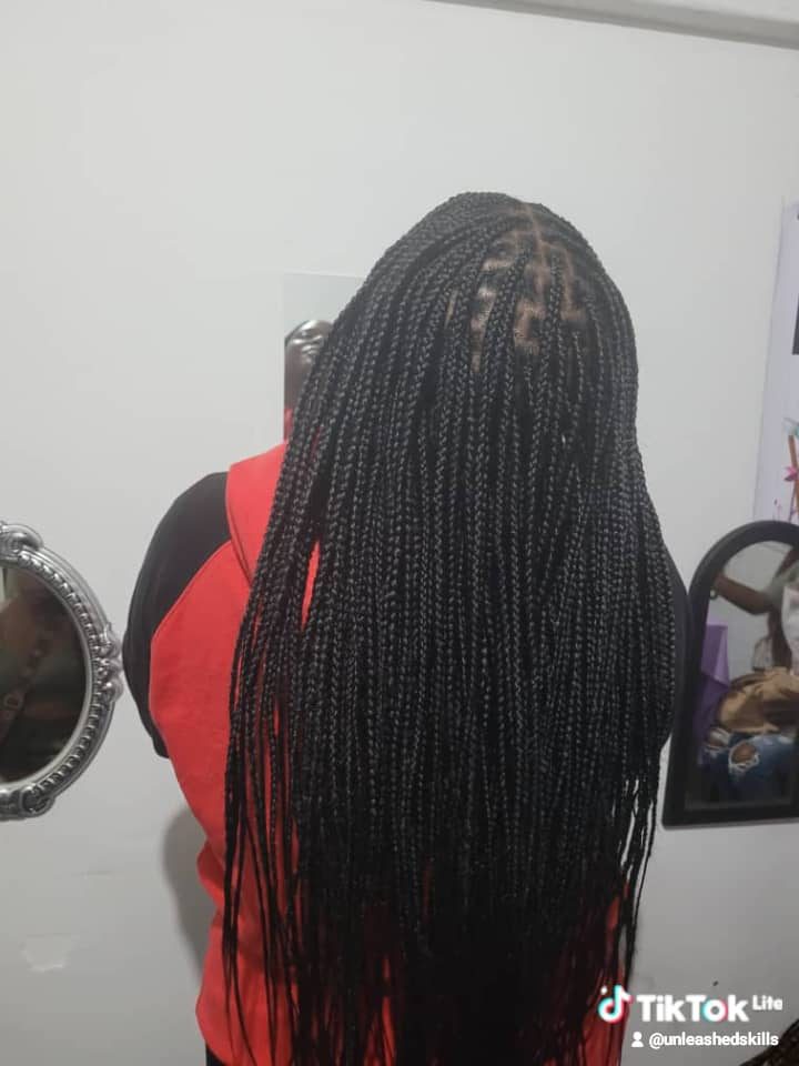 Golden blonde ombre braids, back view